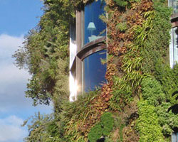 Jardines verticales (por Arq. Paisajista Flavia M. Ambrosini)