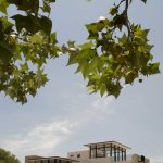 Casa Ventanas SMA / Boué Arquitectos