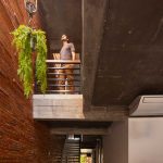 Paddy - Espacios y Café / ODB Arquitectos